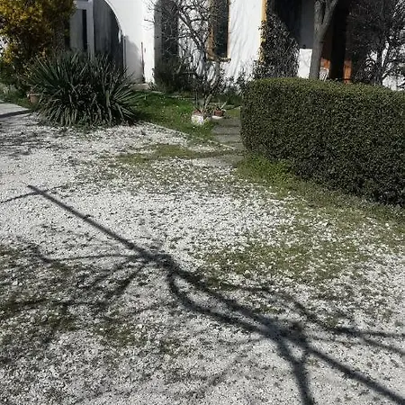 Apartment Ground Floor,top Level *