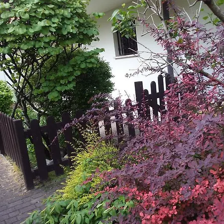 Apartment Ground Floor,top Level Padova