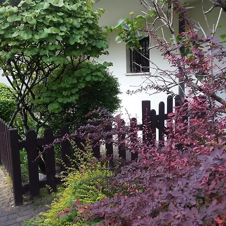 Apartment Ground Floor,top Level *